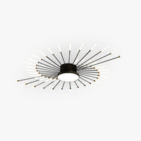 Modern Ceiling Light: Dynamic Fireworks Design