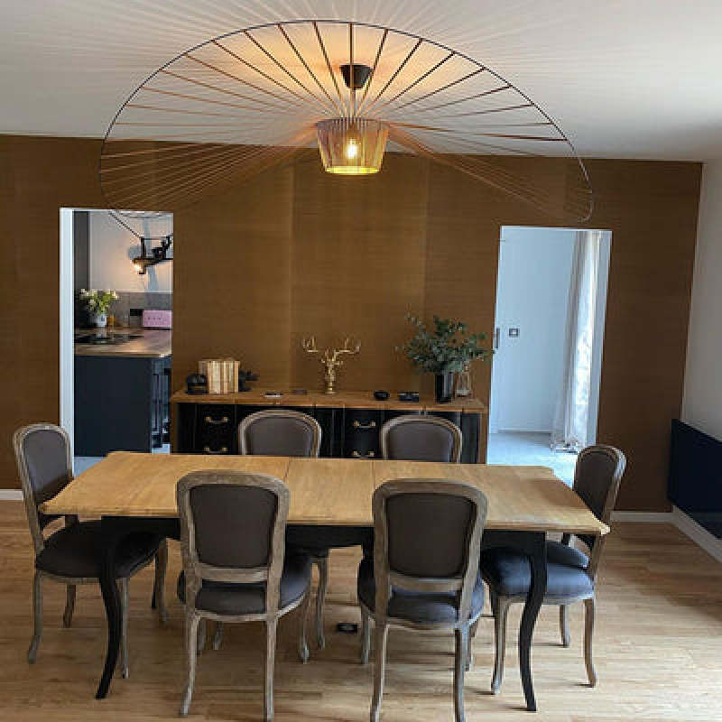 Minimalist Asymmetric Petal Pendant Light with Lines