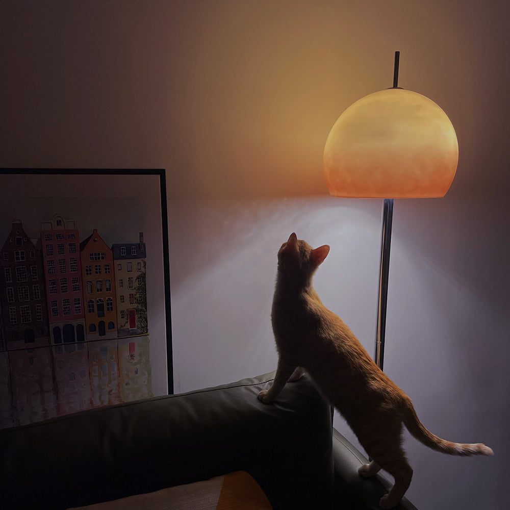 Mid-Century Hemispherical Floor Lamp with Dome Shade