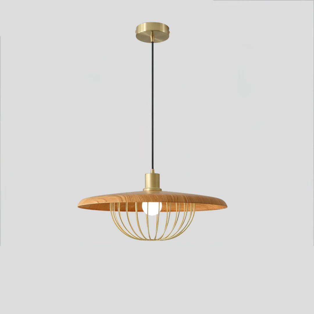 Industrial LED Pendant Light – Open Cage Design