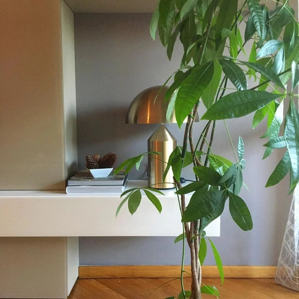 Table Lamp with Minimalist Hemispherical Shade