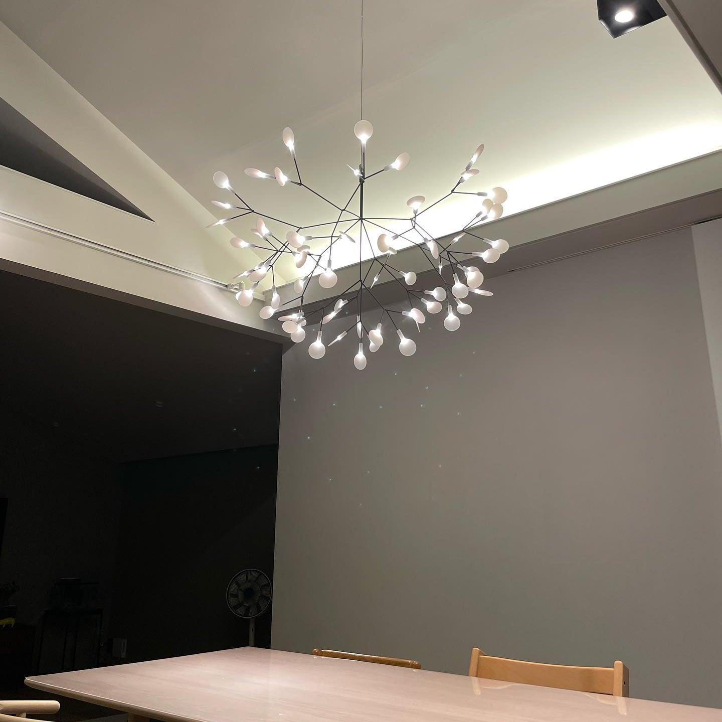 Black Firefly Chandelier - Modern Design