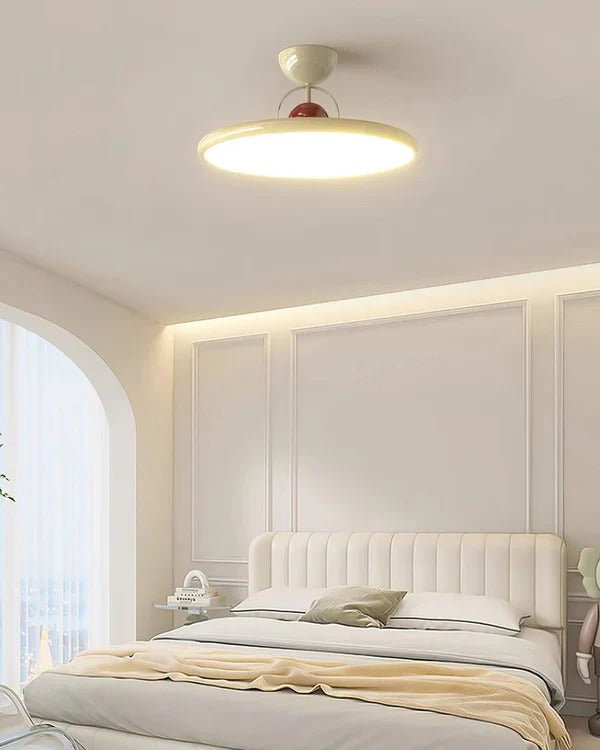 Contemporary Ceiling Lamp - Unique Look