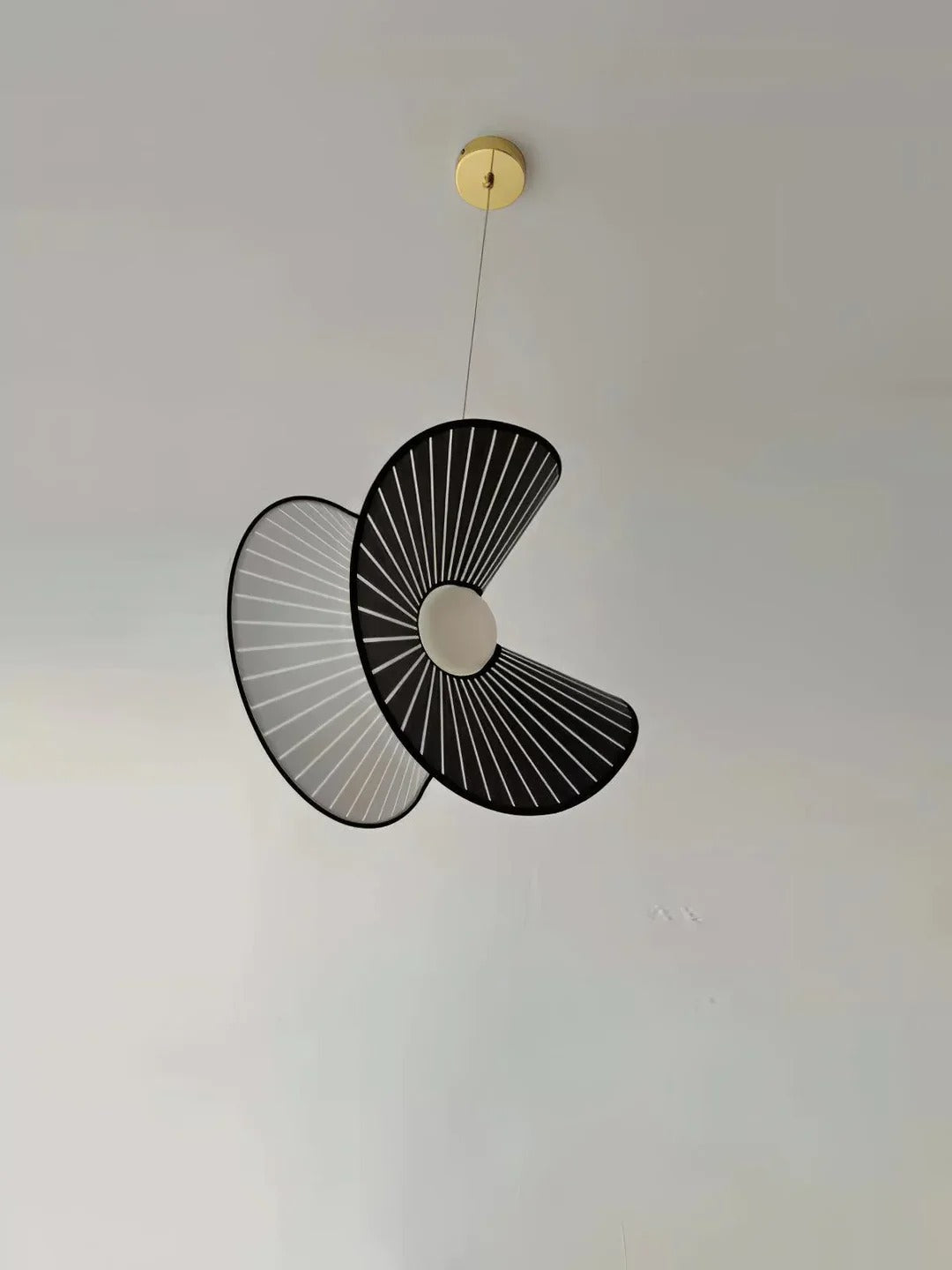 Elegant Black Shell Pendant Light