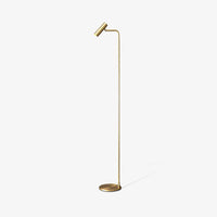 Elegant Minimalist Satin Brass Lamp