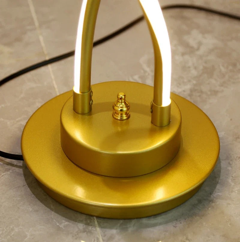 Contemporary Double Spiral Floor Lamp with LED