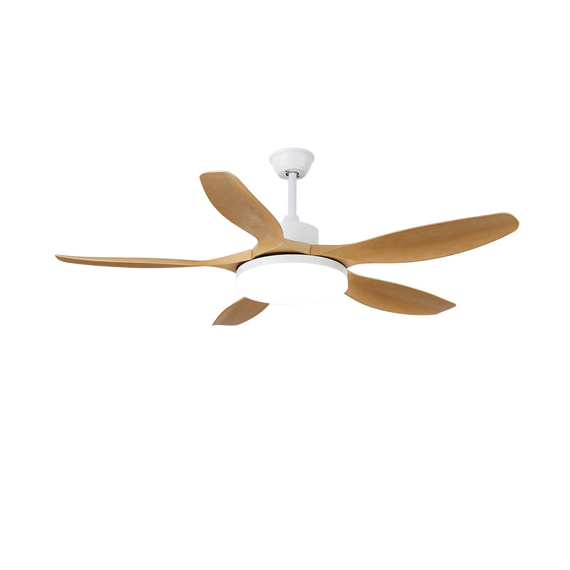 Modern Ceiling Fan Light with Remote Control