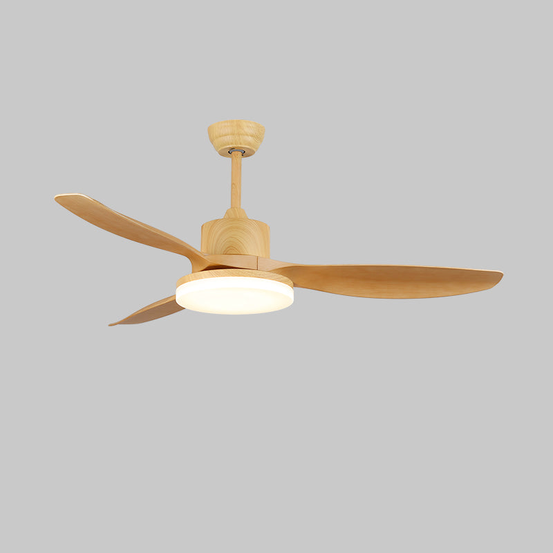 Modern Ceiling Fan Light with Remote Control