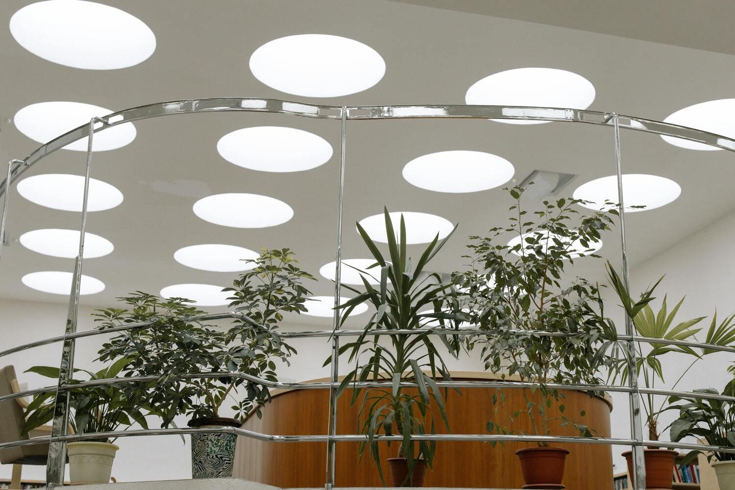 A modern office interior featuring circular ceiling lights and an array of indoor plants. The design incorporates sleek metal railings and wooden furniture, creating a fresh and contemporary workspace atmosphere.